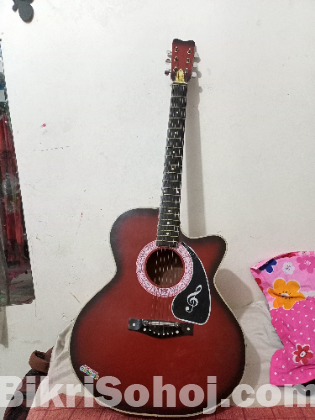 Givson Guiter made in india